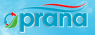 Логотип Прана