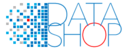 Логотип DataShop