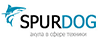 Логотип Spurdog
