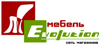 Логотип Mebel Evolution