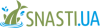 Логотип Snasti