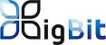 Логотип BigBit