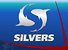Логотип Silvers