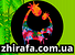 Логотип Жирафа