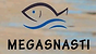 Логотип Мегаснасти