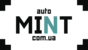 Логотип Automint