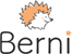 Логотип Berni