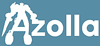 Логотип Azolla