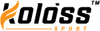 Логотип Koloss