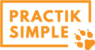 Логотип Practik