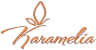 Логотип Karamelia
