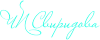 Логотип ЧП Свиридова