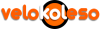 Логотип Velokoleso