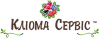 Логотип Клиома Сервис